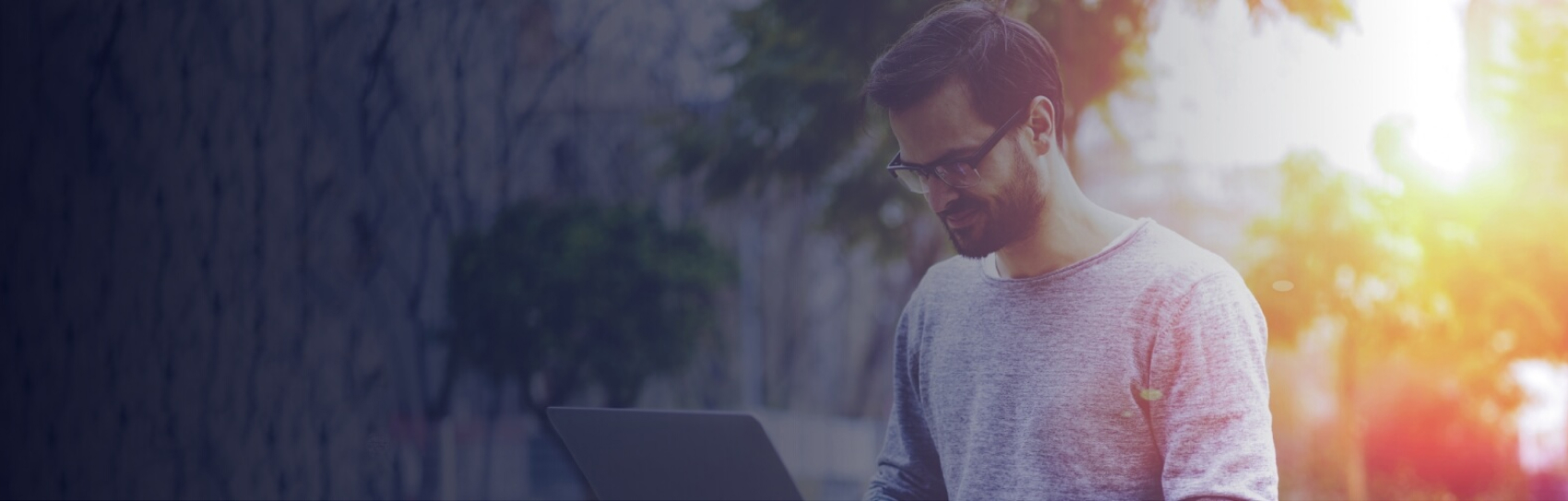 Forex Trading Strategies Guide